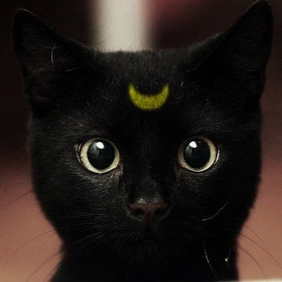 Meet your Posher, Jodi - Picture 1 of 1